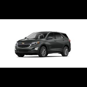 Meet your Posher, Elsa